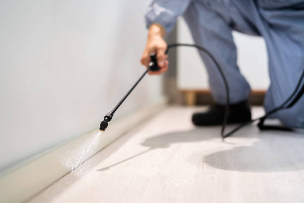 Licensed Pest Control service in Burbank, IL - Show Me Pest Control