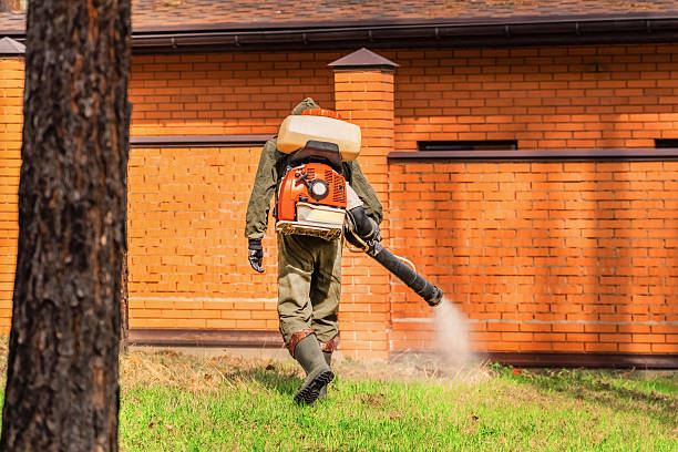 Bed Bug Clearance Verification and Documentation in Burbank